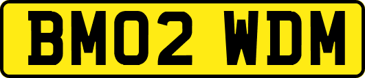 BM02WDM
