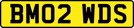 BM02WDS