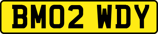 BM02WDY
