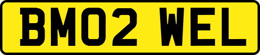 BM02WEL