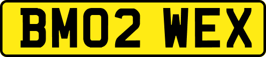 BM02WEX