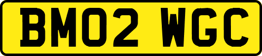 BM02WGC