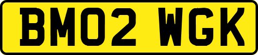 BM02WGK