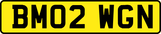 BM02WGN