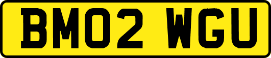 BM02WGU