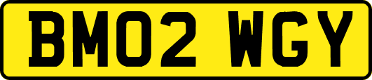 BM02WGY