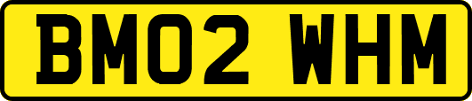 BM02WHM