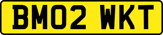 BM02WKT