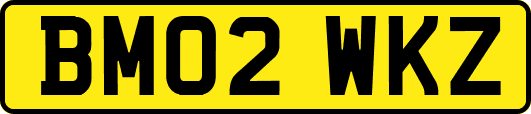 BM02WKZ