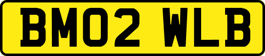 BM02WLB