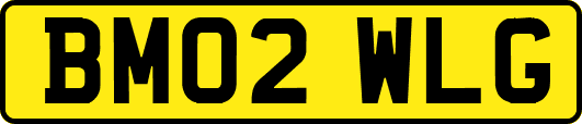 BM02WLG