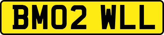 BM02WLL