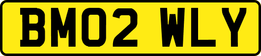 BM02WLY