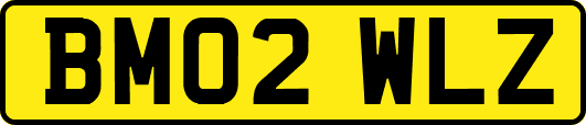 BM02WLZ