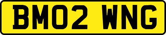 BM02WNG