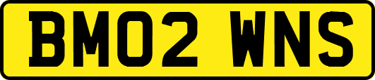 BM02WNS