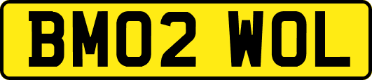 BM02WOL