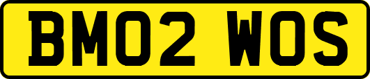 BM02WOS