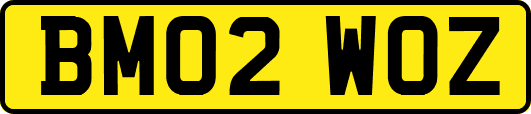BM02WOZ