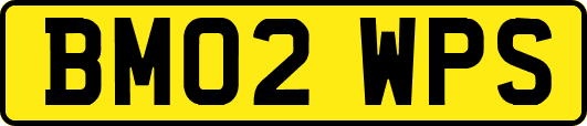 BM02WPS