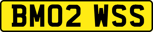 BM02WSS
