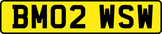 BM02WSW