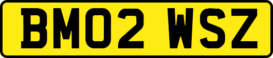 BM02WSZ