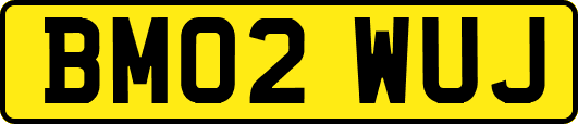 BM02WUJ