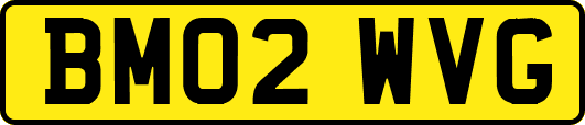 BM02WVG