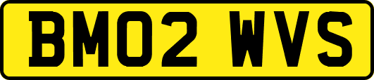 BM02WVS
