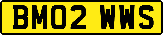 BM02WWS