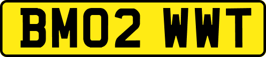 BM02WWT