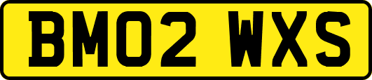 BM02WXS