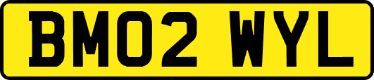 BM02WYL