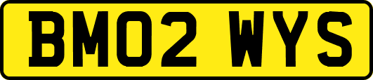BM02WYS