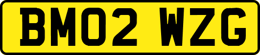 BM02WZG