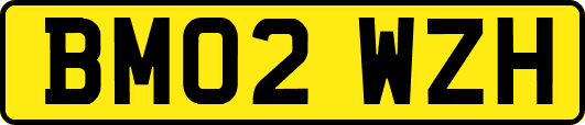 BM02WZH
