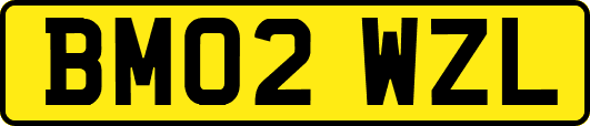 BM02WZL