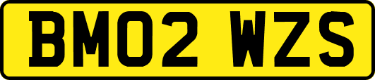 BM02WZS