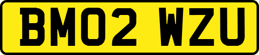 BM02WZU