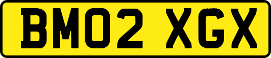 BM02XGX