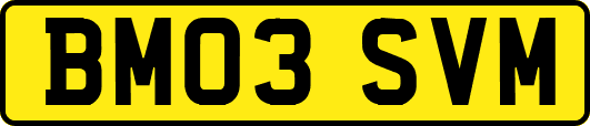 BM03SVM