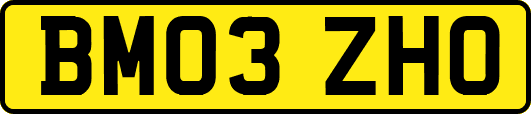 BM03ZHO
