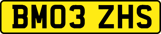 BM03ZHS