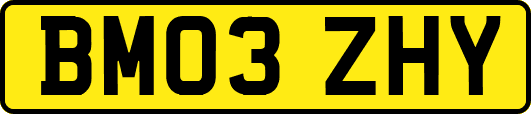 BM03ZHY
