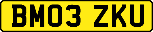BM03ZKU