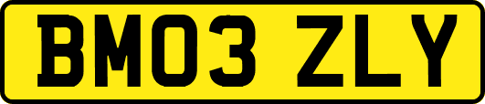 BM03ZLY
