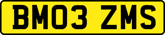 BM03ZMS