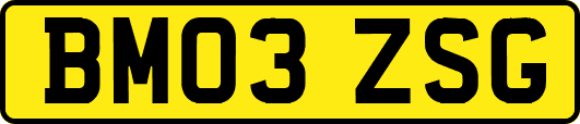 BM03ZSG