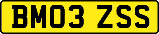 BM03ZSS